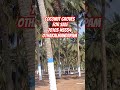 70103 45554 coconut groves coimbatore farmland investing farmhouse farmland plot