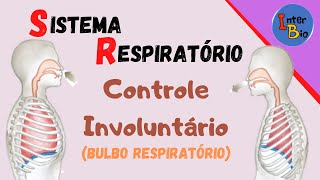 Sistema Respiratório - Controle Involuntário da Respiração