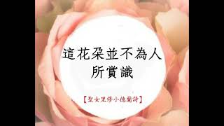 清芬一股，不落人間【聖女小德蘭詩】