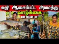 எங்கள் கிராமத்து வாழ்க்கை | Our Village life ♥️| vanni vlog