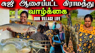 எங்கள் கிராமத்து வாழ்க்கை | Our Village life ♥️| vanni vlog