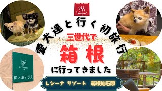 愛犬達と行く初めてのお泊まり旅行