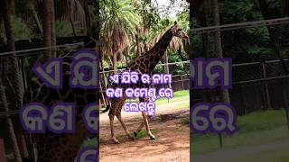 ଆର ନାମ କଣ🌹subscrib 🙏#comedy #funny #sorts #funnyvideos