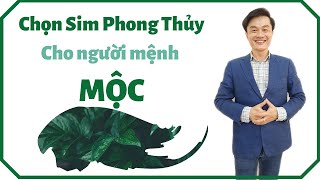 Chọn Sim Phong Thủy Hợp Tuổi | Sim Phong Thủy Hợp Mệnh Mộc