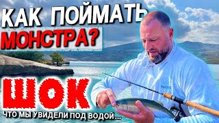 Монстры Чиркейского водохранилища: миф или реальность?! Ловля дикого сазана в горах Дагестана.