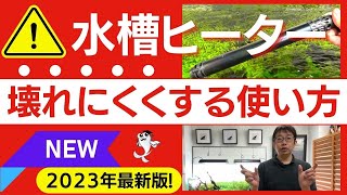 【秘技】水槽ヒーターが壊れた時に今すぐやるべきプロの爆速対処術