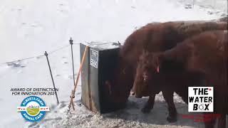 The Water Box™️ - Livestock Waterer 2021