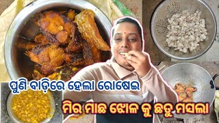 ପୁଣି ବାଡ଼ିରେ ହେଲା ରୋଷେଇ || ମିର ମାଛ ଝୋଳ କୁ ଛତୁ ମସଲା 😋😋