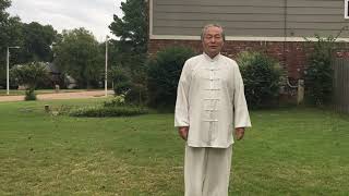 传统85式杨氏太极拳教学19：转身撇身捶 (用通俗易懂的语言，讲解演示如何学习和练习杨氏太极拳 )Chinese KungFu，Tai Chi Quan， Xing Yi, Bagua