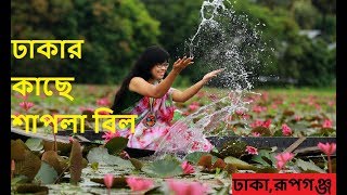 পদ্ম শাপলা  রিসোর্ট । padma Shapla Resort। রুপগঞ্জ,ঢাকা । shapla bill rupganj। shapla bill