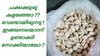 ചക്കക്കുരു കളഞ്ഞോ ? കളയേണ്ടിരുന്നില്ല ! ഇങ്ങനെയൊന്ന് ചെയ്താലോ ?