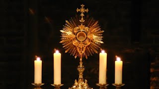 തിരുസന്നിധിയിൽ... LET'S ADORE HIM..(20-01-2022) EUCHARISTIC ADORATION || Fr Shaiju Perumpettikunnel