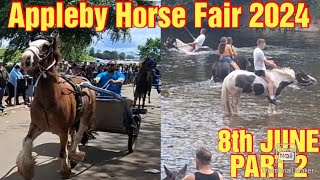 APPLEBY HORSE FAIR 2024 / THE FLASH/RIVER EDEN #camperlife #vanlife #lifeontheroad #foryou #nomad