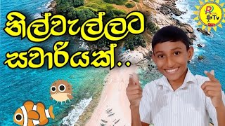 මම නිල්වැල්ල මුහුදු තීරයට ගියා || I went to the Nilwella beach(Blue Beach) matara|Vlog 11රෝයල්Tv