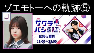 ゾエモトーへの軌跡⑤【櫻坂46武元唯衣・サクラバシ919山添寛】