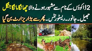 2 Dakuonn Ke Naam Se Famous Hone Wala Changa Manga Jungle - Lake, Animals, Restaurants - Bara Resort