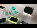 Robotic Pipette Tips for Tecan/Hamilton/Roche