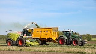 Claas Jaguar 970 gras hakselen 2016 - Peltijn Agri