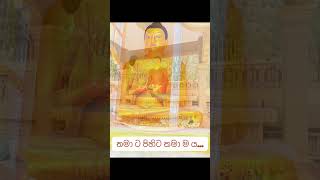 තමාට පිහිට තමා ය #තෙරුවන්සරණයි