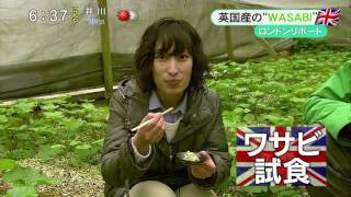 The Wasabi Company featured on Shizuoka News.