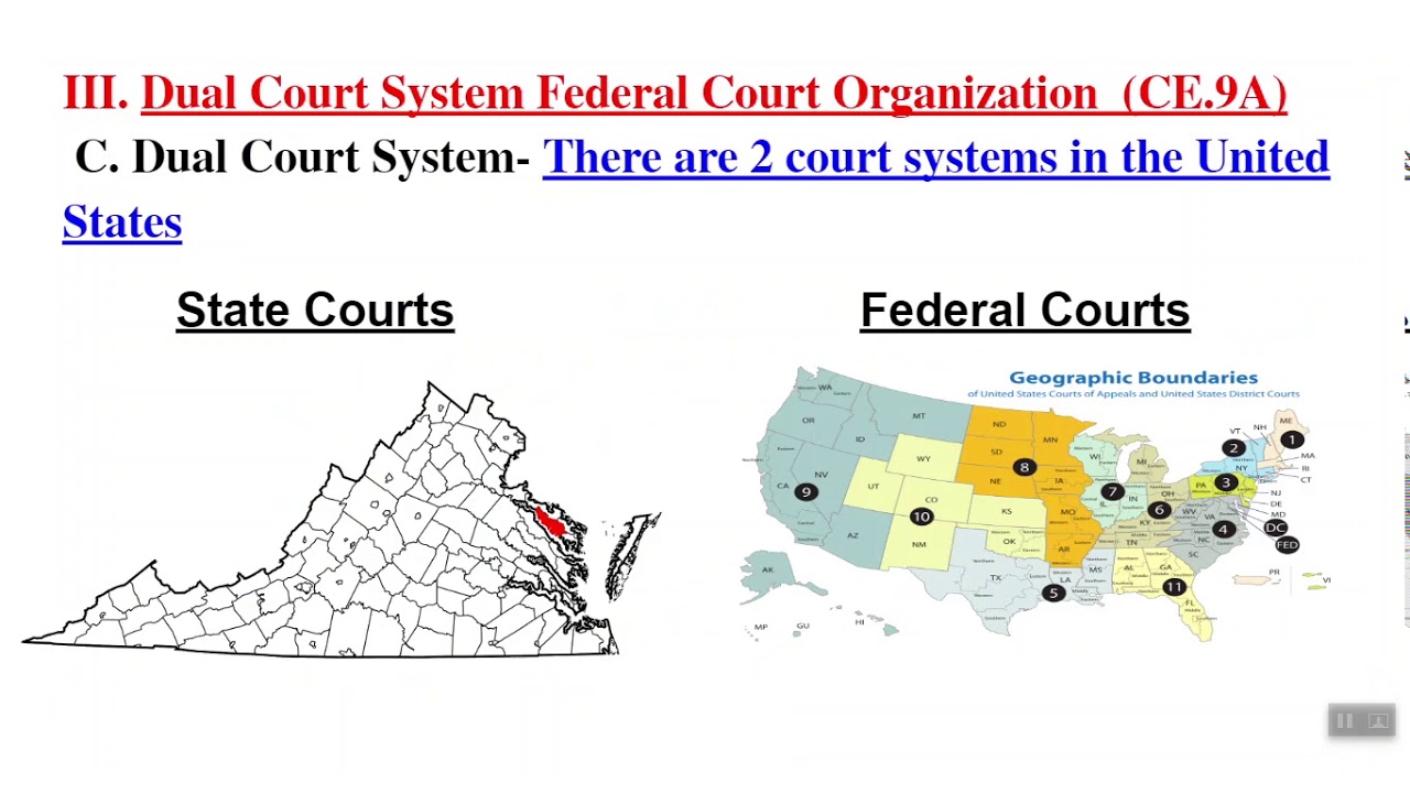 Double Take: Dual Court System Worksheet