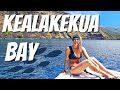 Top Snorkel Spots in Hawaii | Captain James Cook Monument | Snorkelling at Kealakekua Bay Big Island