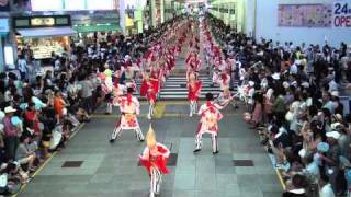 十人十彩　帯屋町　２０１０　第５７回よさこい祭り　本祭第２日目