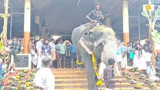 ഏവൂർ കണ്ണൻEvoor Kannan Mukhathala Murari Temple Kollam