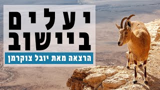 יעלים במצפה רמון ומדרשת בן גוריון - יובל צוקרמן