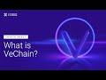 VeChain 2021: VET crypto (VTHO)