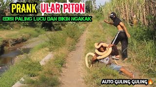 Video Lucu || Funniest Snake Prank || Ular Piton Bikin Ulah || Asli Bikin Ngakak 🤣🤣