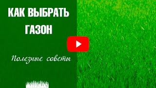 Газонная трава - какую выбрать? 🌱 Виды газонов