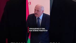 Лукашенко учит чиновников, как нужно работать! (Архив 2019 года) #shorts #лукашенко #беларусь