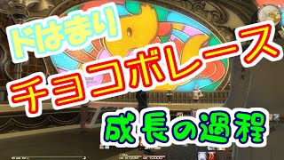 【FF14実況】NPCは敵じゃない!?成長の過程!! [チョコボレース#4]