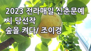 2023 전라매일 신춘문예 시 당선작, 숲을 켜다/조이경