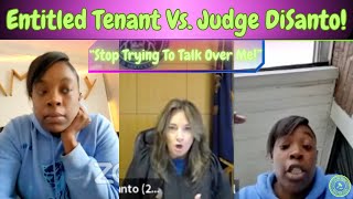 Entitled Tenant Vs. Judge DiSanto! #trending #court #zoom #judge