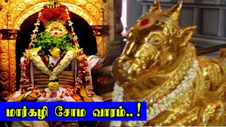 மார்கழி சோம வாரம்..! Margazhi Soma Vaaram | Pradhosam