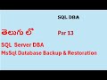 MsSql Database Backup & Restoration PART 13