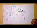 force between two parallel current carrying wires doc physics