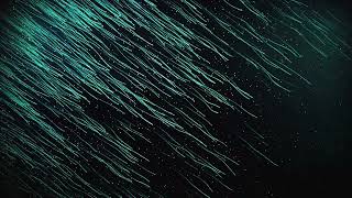 Digital binary code Fly through abstract 3D scientific technology background.