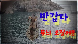 거제 지세포 도보포인트에서 만나는 무늬 오징어