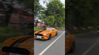 Mustang CS800 2018 SuttonOrange on Black, FP Plat B, odo 3700 KM 5.0 V8 800HP Sutton Supercharged