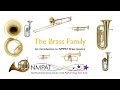 An Introduction to the brass family by NMPAT