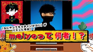 【正体】なにやってもうまくいかない【meiyo】がTikTokで大バズりした理由（クエスチョン、うろちょろ等）