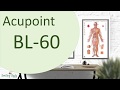 Acupoint BL 60