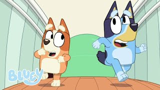 Bluey in Tamil |  யோகா Ball | Full Episode | Kids Cartoon