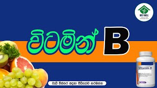 විටමින් B ඇයි අපට අවශ්‍ය‍ය...?     Episode 03