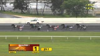 Meadowlands Baby Race #1 - July 18, 2015 - Lovable Grace