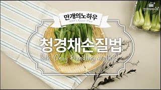 청경채손질법 ♡ 깨끗하게 잘 씻자 [만개의노하우]