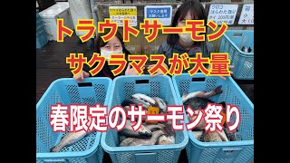 【海上釣堀】フィッシングレインボー　【春限定のサーモン祭り】に行って事件発生　後半に当事者が笑えない事件が😭　他は笑ってました！